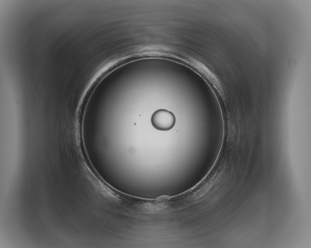 X0000108481384200904031421
