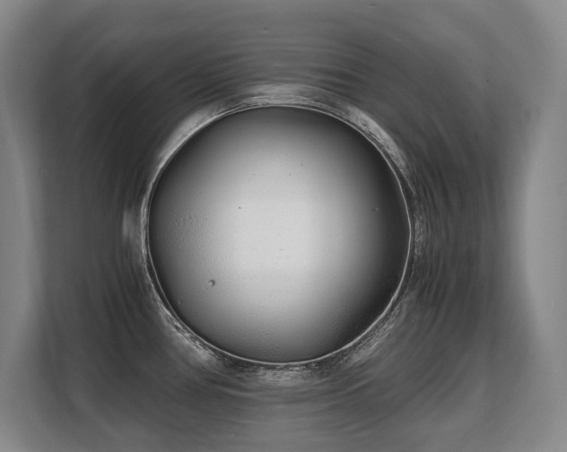X0000108481386200904031421