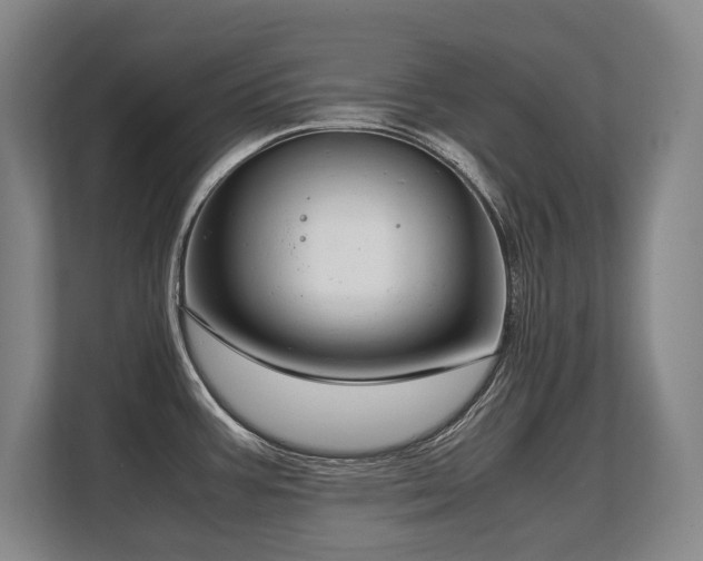 X0000108481387200904031421