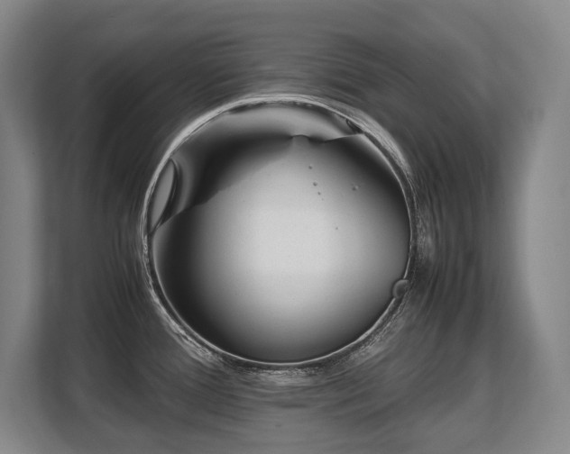 X0000108481388200904031421