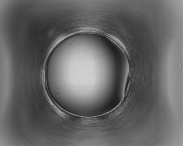 X0000108481391200904031421