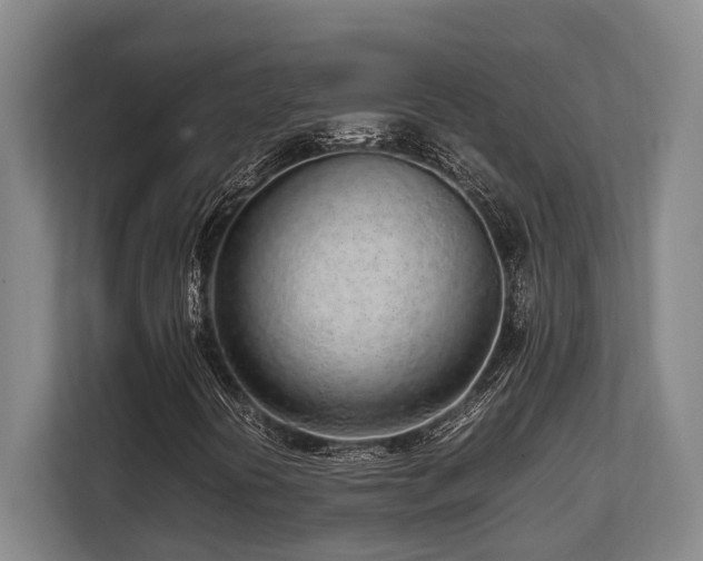 X0000108481394200904031420