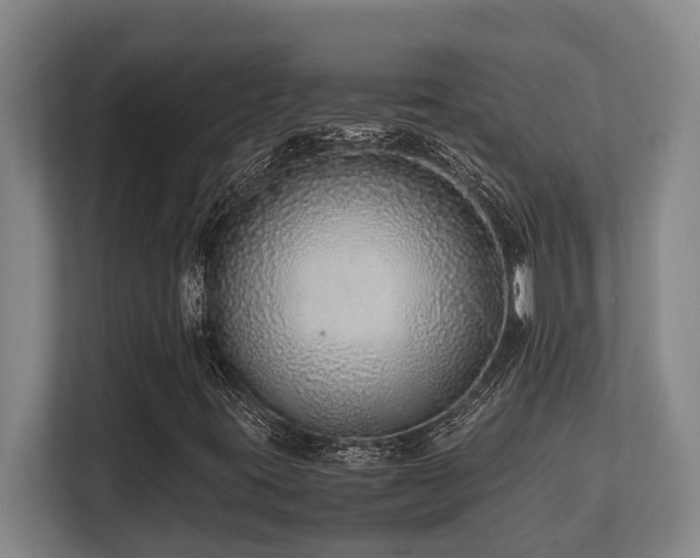 X0000108481395200904031420