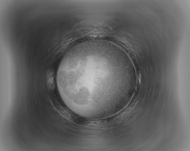 X0000108481396200904031420