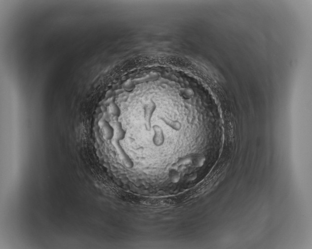 X0000108481397200904031420