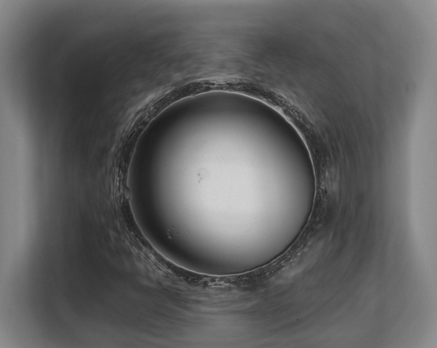 X0000108481398200904031420