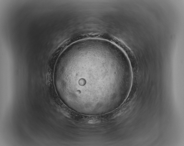 X0000108481399200904031420