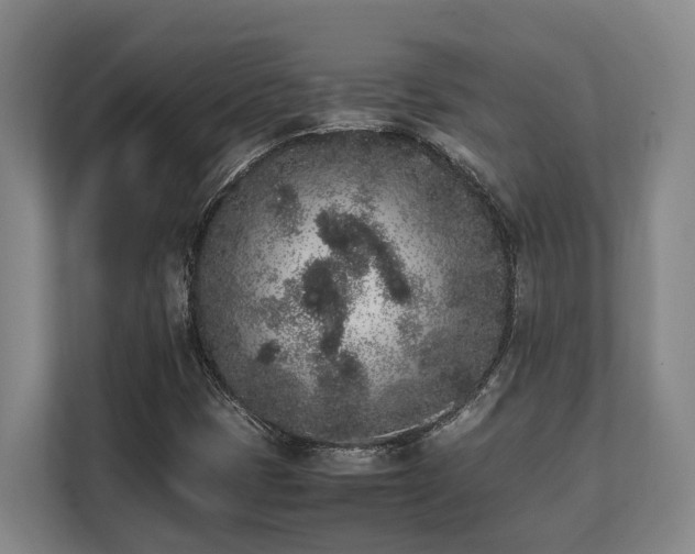 X0000108481401200904031420