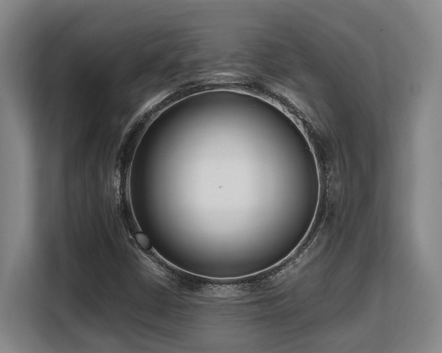 X0000108481402200904031420