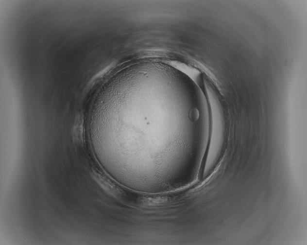 X0000108481403200904031420