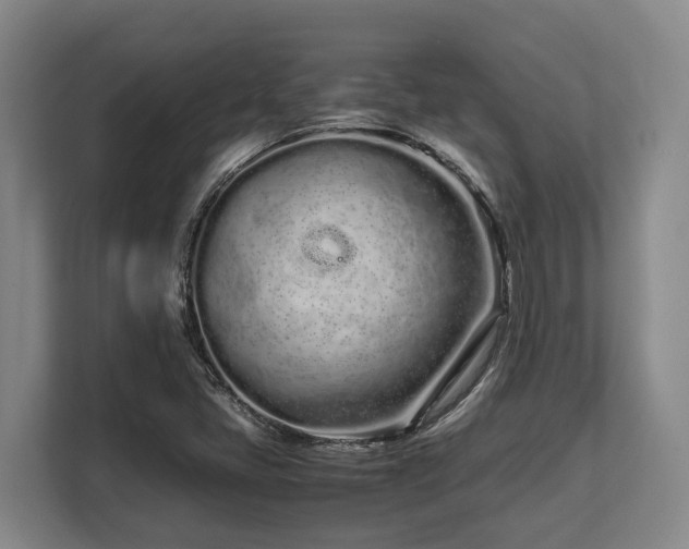 X0000108481405200904031420