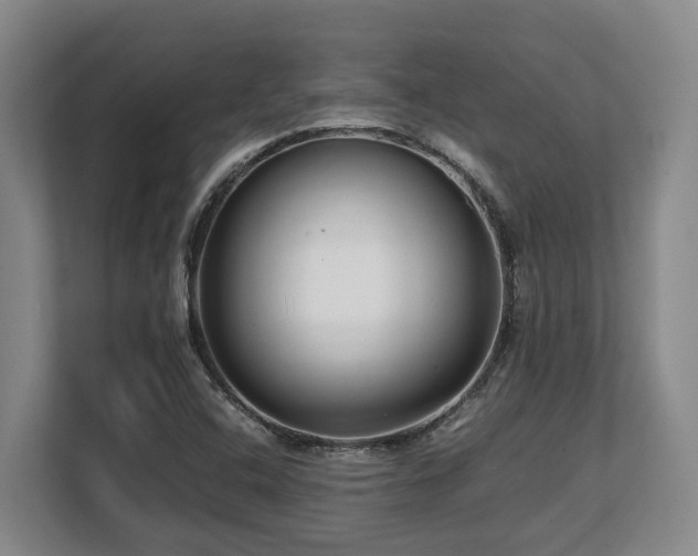 X0000108481408200904031420