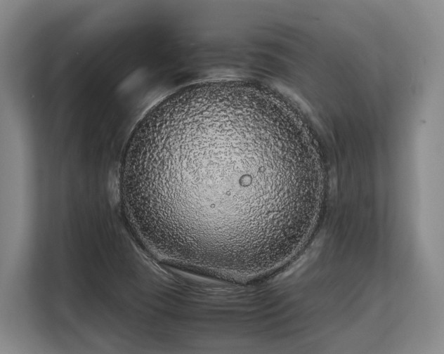 X0000108481409200904031420