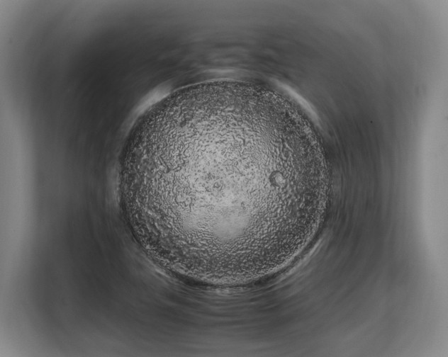 X0000108481411200904031420