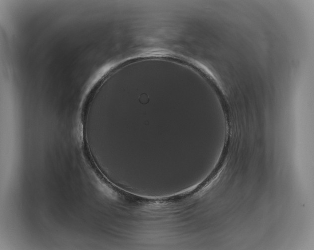 X0000108481414200904031420