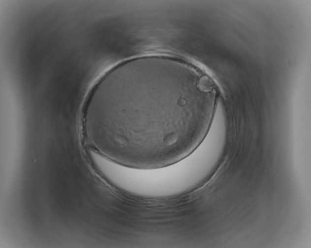 X0000108481415200904031420