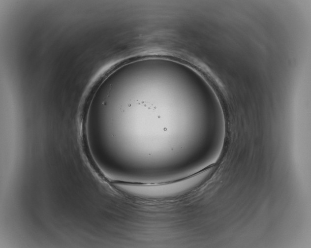 X0000108481416200904031420