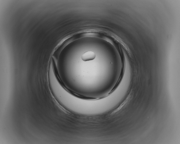 X0000108481417200904031420