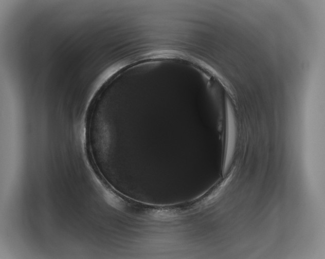 X0000108481418200904031420