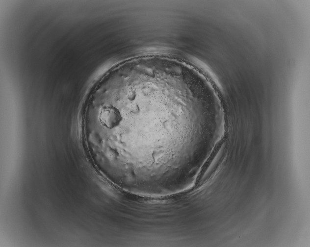X0000108481419200904031420