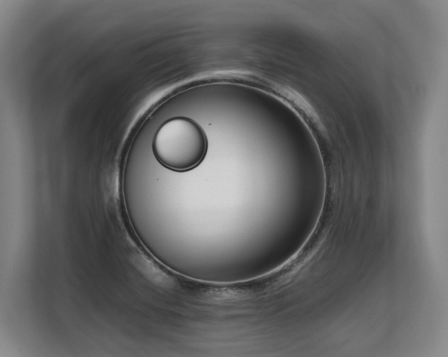 X0000108481420200904031420