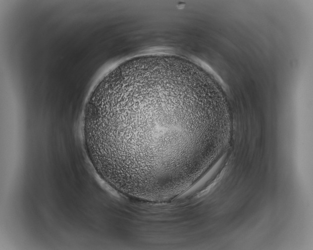X0000108481421200904031420