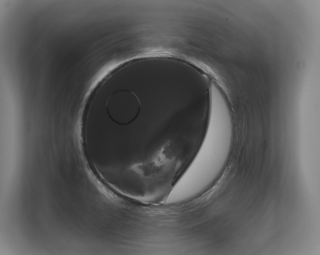 X0000108481422200904031420