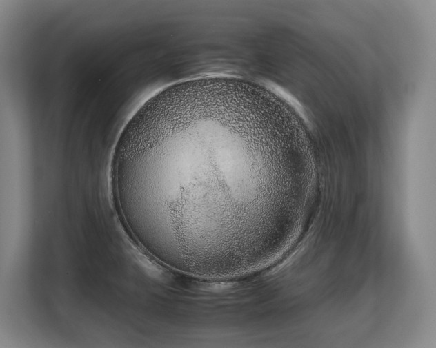 X0000108481423200904031420