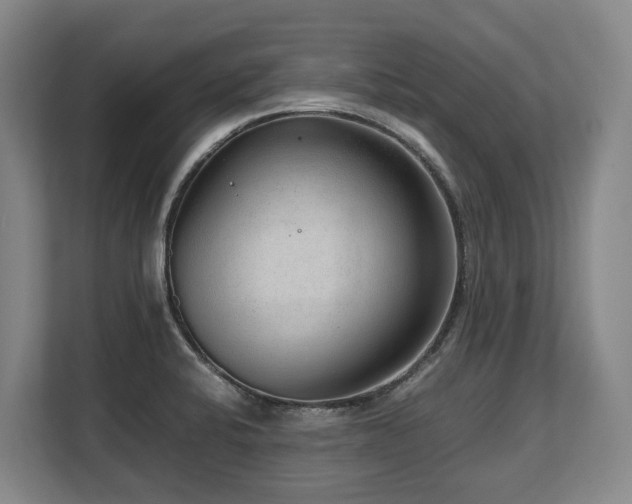 X0000108481424200904031420