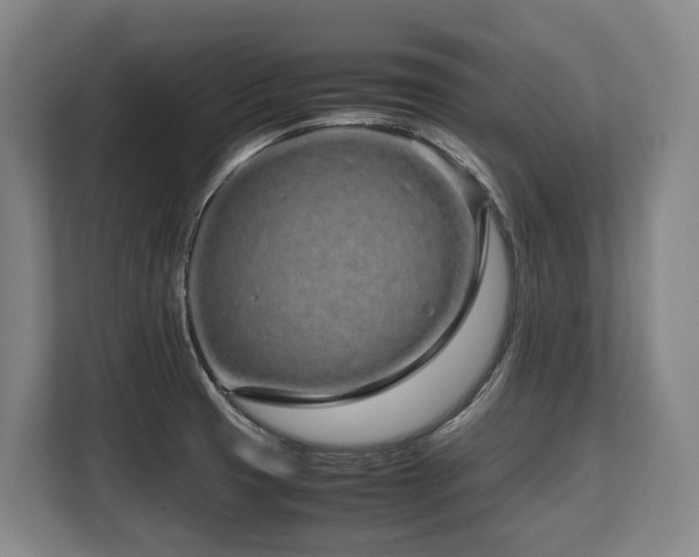 X0000108481425200904031420