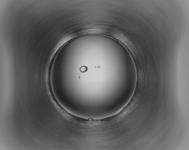 X0000108481426200904031420