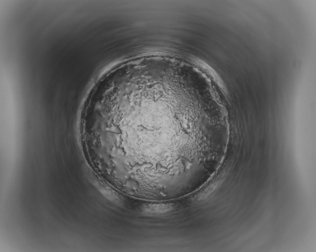 X0000108481427200904031420