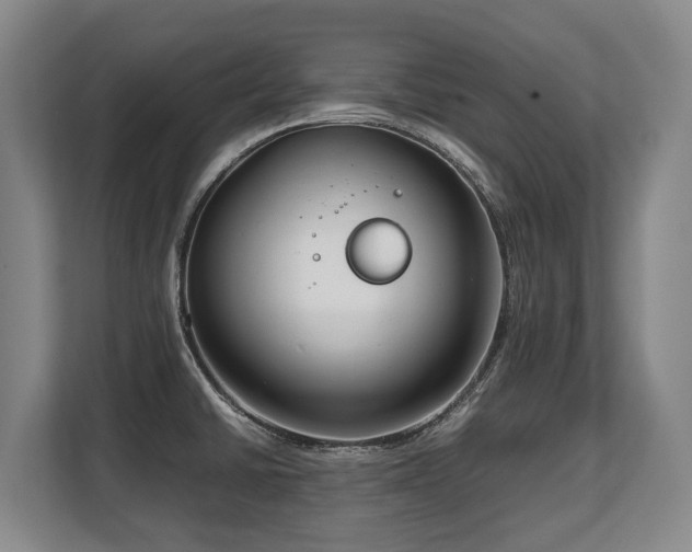 X0000108481430200904031420