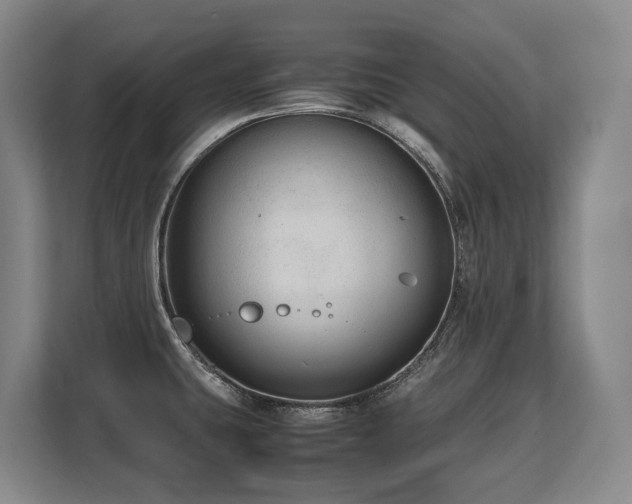 X0000108481431200904031420