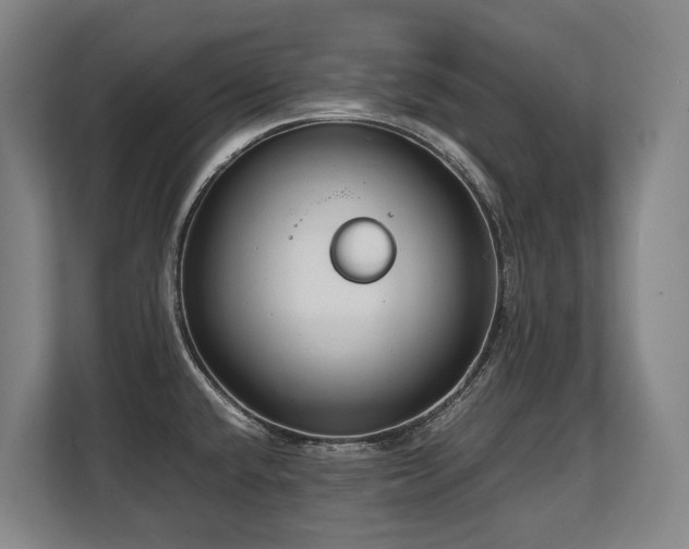 X0000108481432200904031420