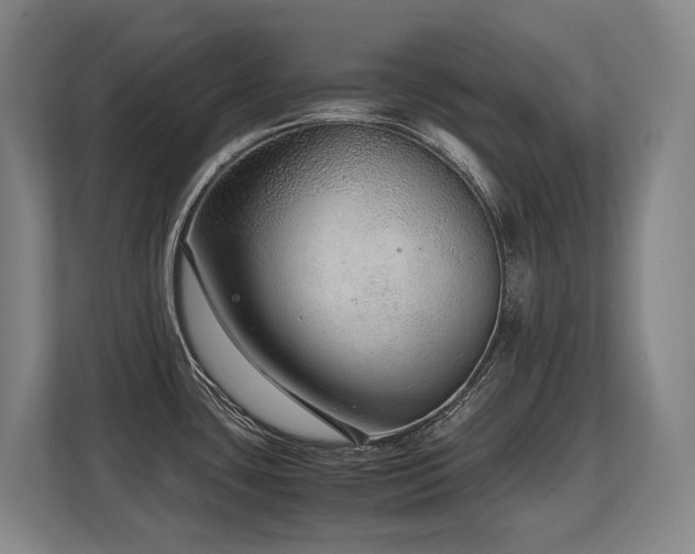 X0000108481435200904031420