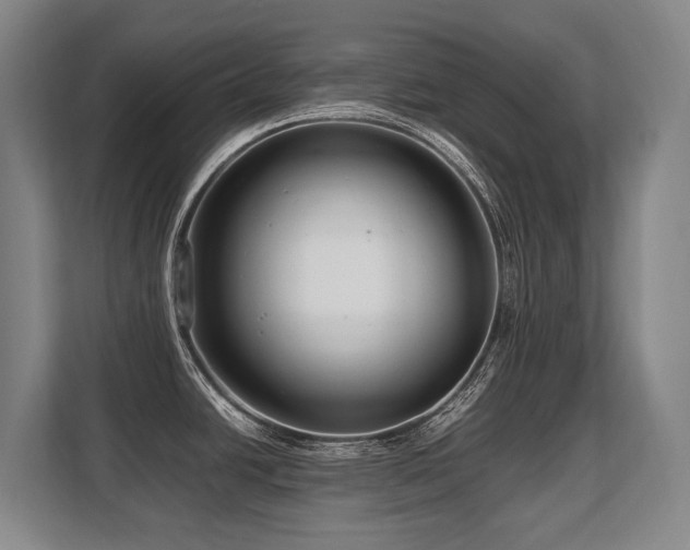 X0000108481438200904031421