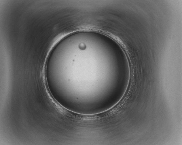 X0000108481440200904031421