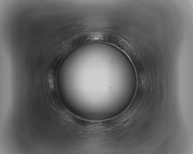 X0000108481442200904031420