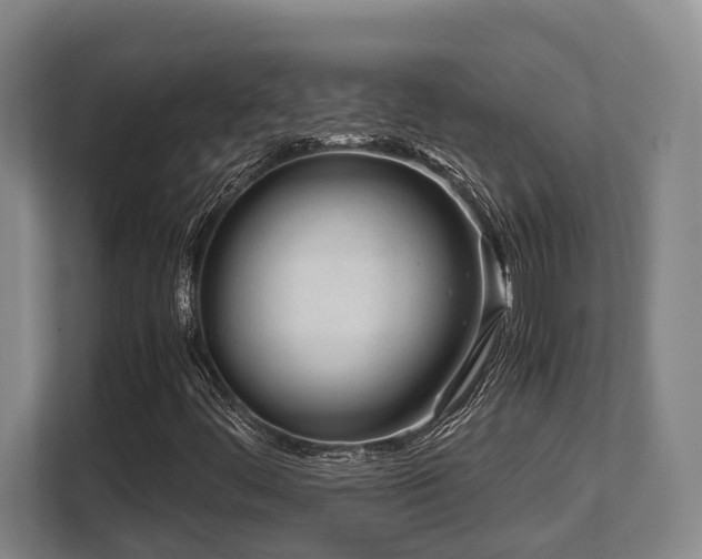 X0000108481444200904031420