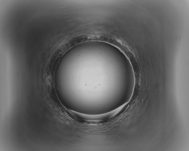 X0000108481445200904031420