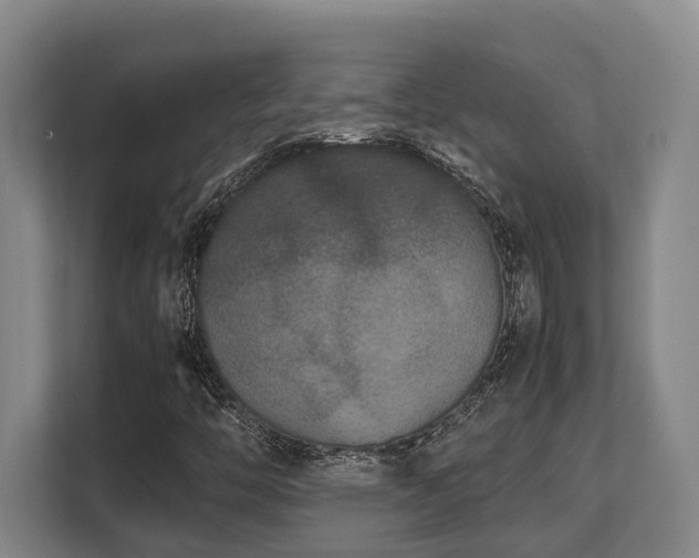 X0000108481446200904031420