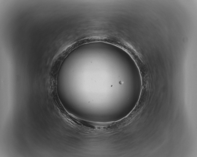 X0000108481448200904031420