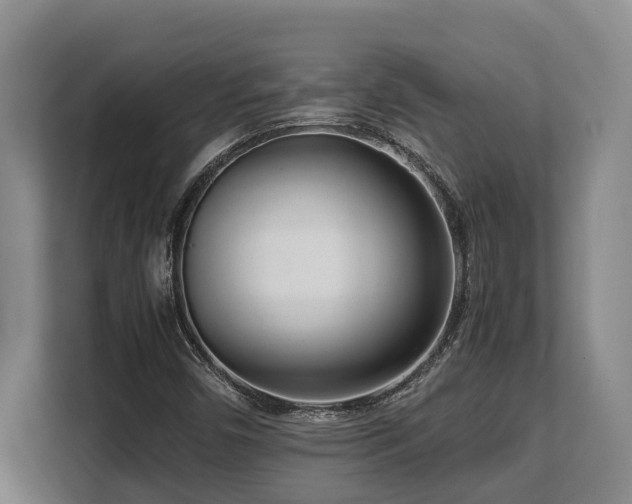 X0000108481450200904031420