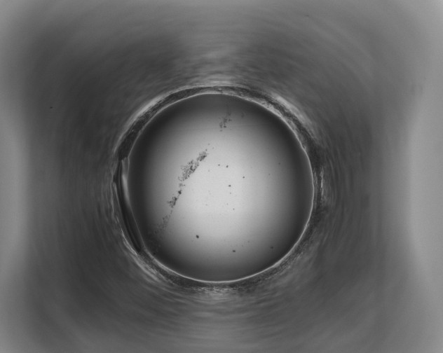 X0000108481452200904031420
