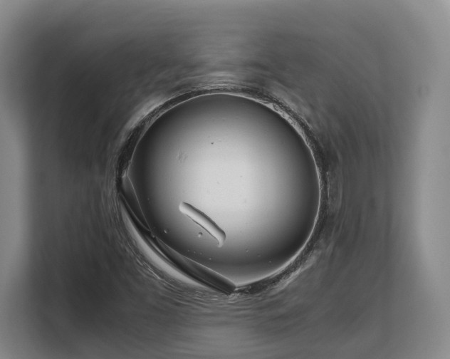 X0000108481453200904031420