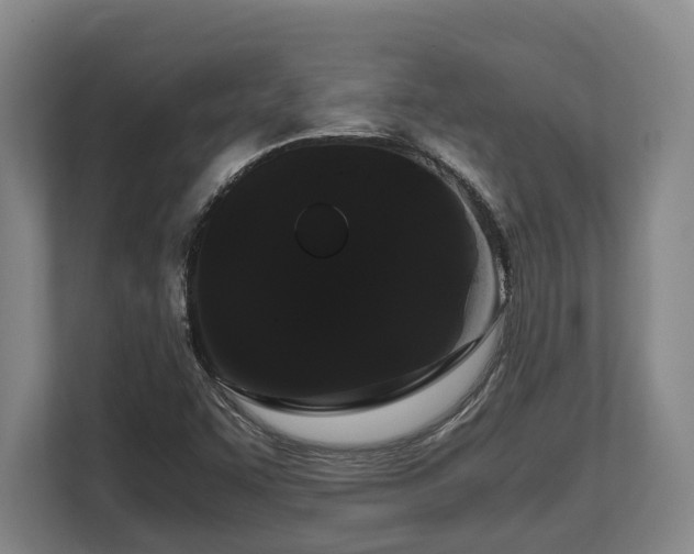 X0000108481455200904031420