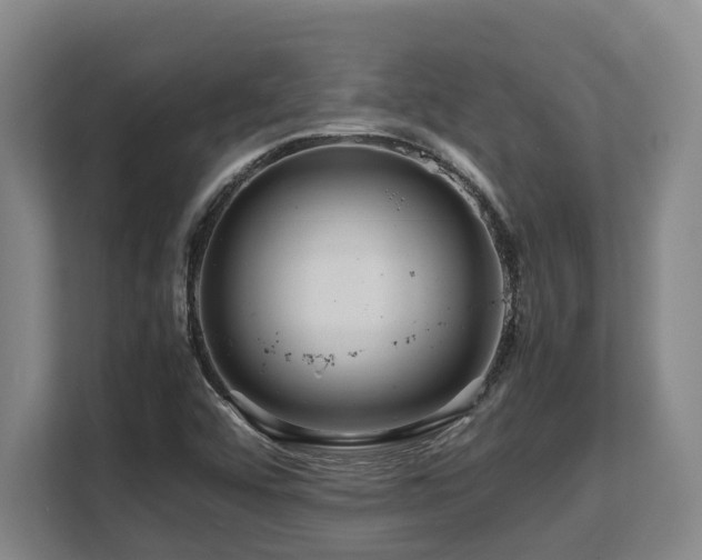 X0000108481456200904031420