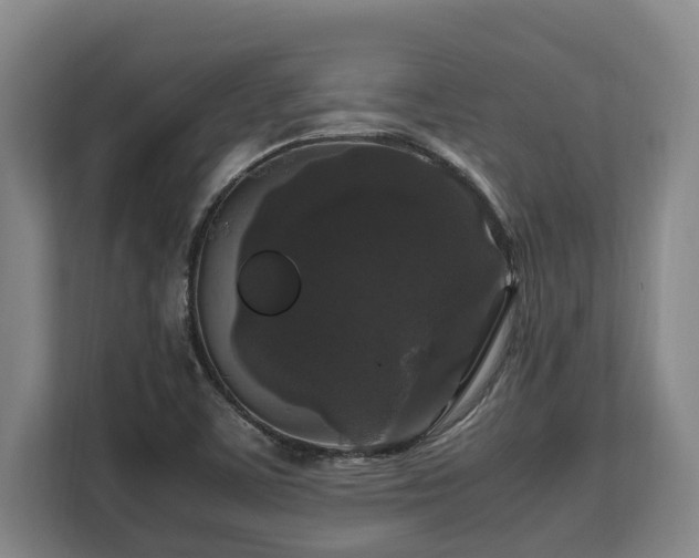X0000108481459200904031420