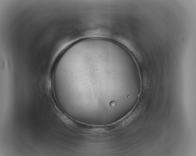X0000108481462200904031420